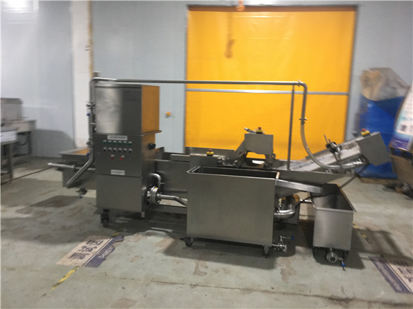 核桃清洗機(jī)FX-800，清洗表面雜質(zhì)