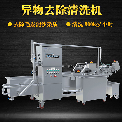 果蔬自動清洗機，清洗800kg小時，果蔬自動清洗機