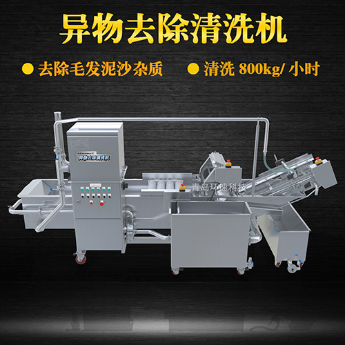 多功能果蔬清洗機(jī)，氣泡清洗，清洗800kg小時