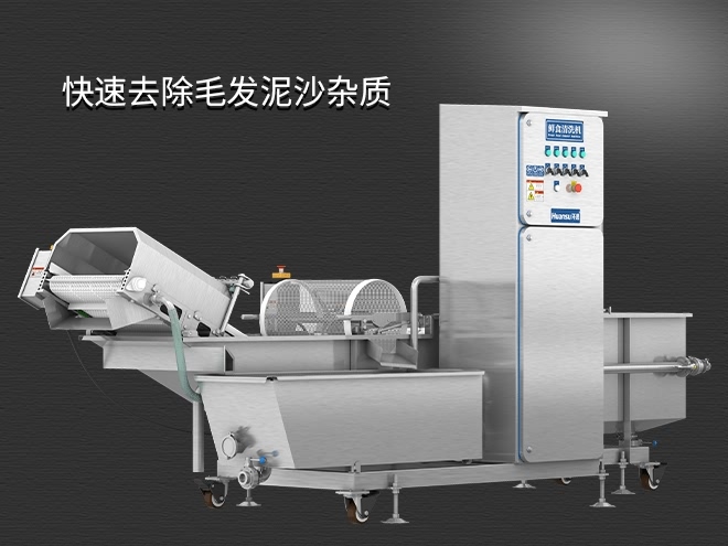 果蔬清洗機(jī)制造廠家，氣泡清洗，清洗800kg/小時