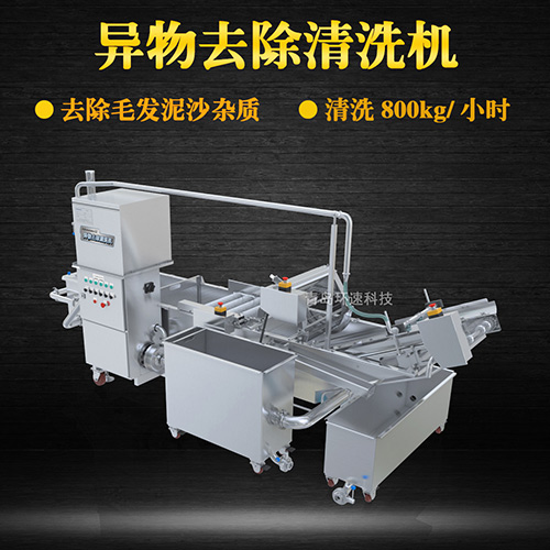 果蔬清洗機設(shè)備，氣泡清洗，清洗800kg小時